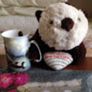 Meet your Posher, Dolores